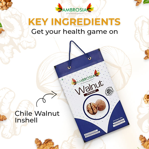 Walnut Inshell 500g | Premium Jumbo Size